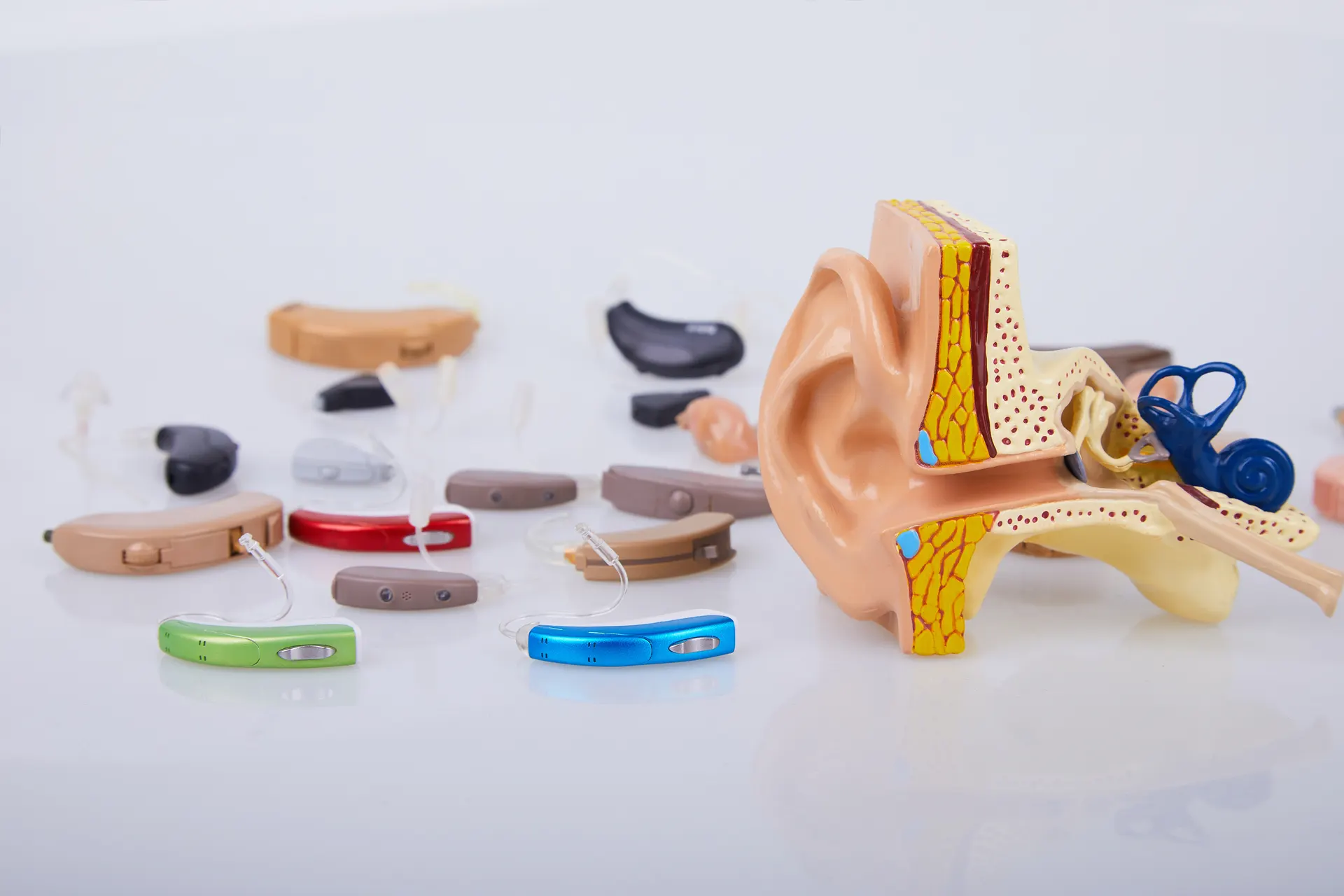 PRÉVENTION & TRAITEMENTS